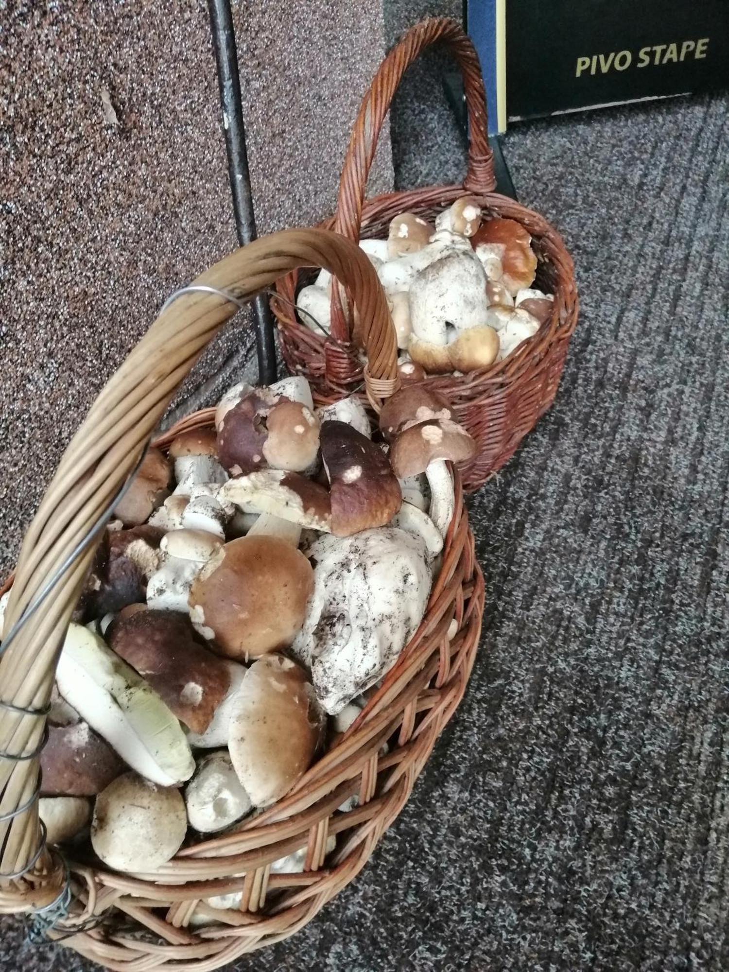 Penzion Jura Chřibská Esterno foto