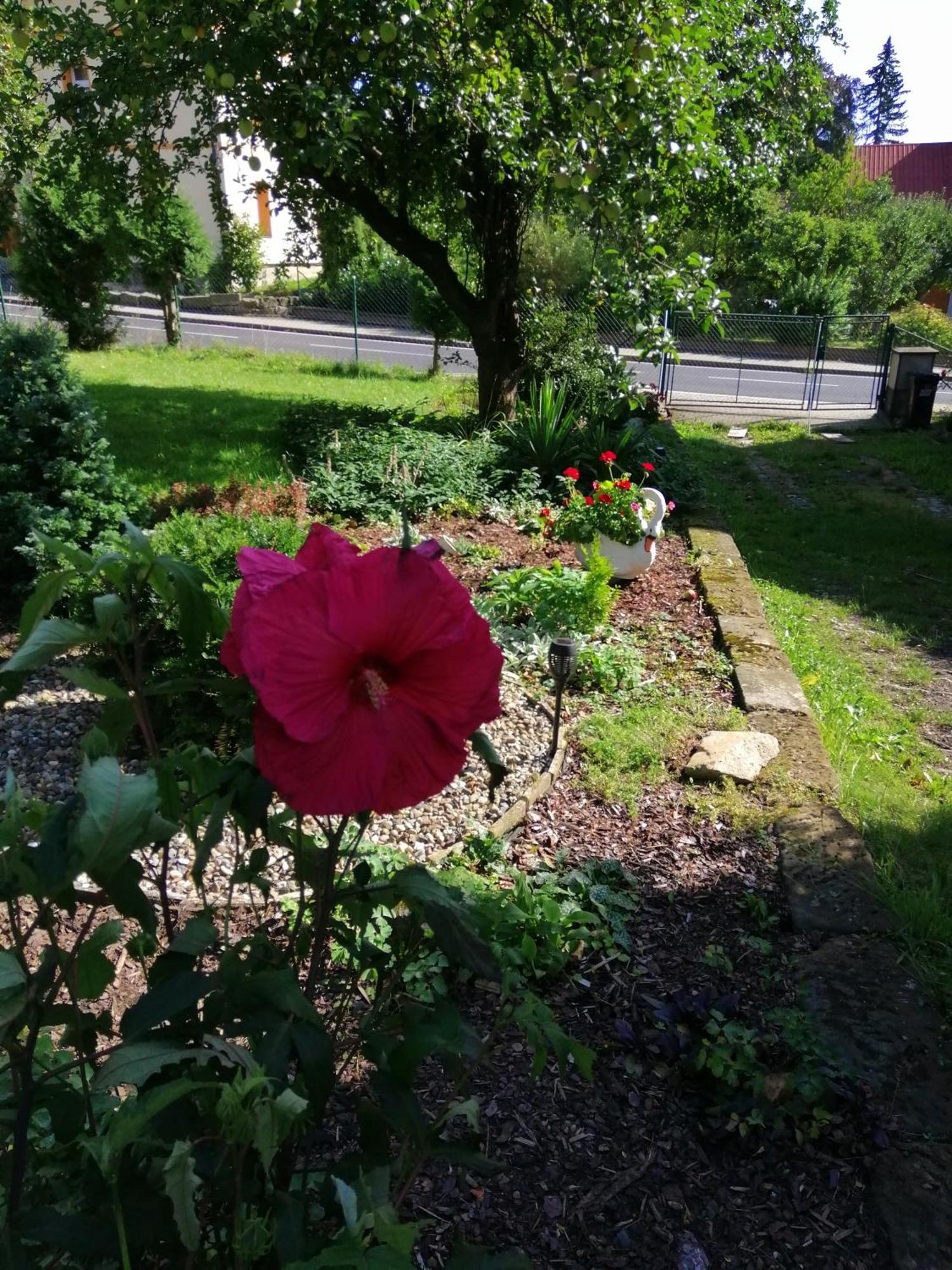 Penzion Jura Chřibská Esterno foto