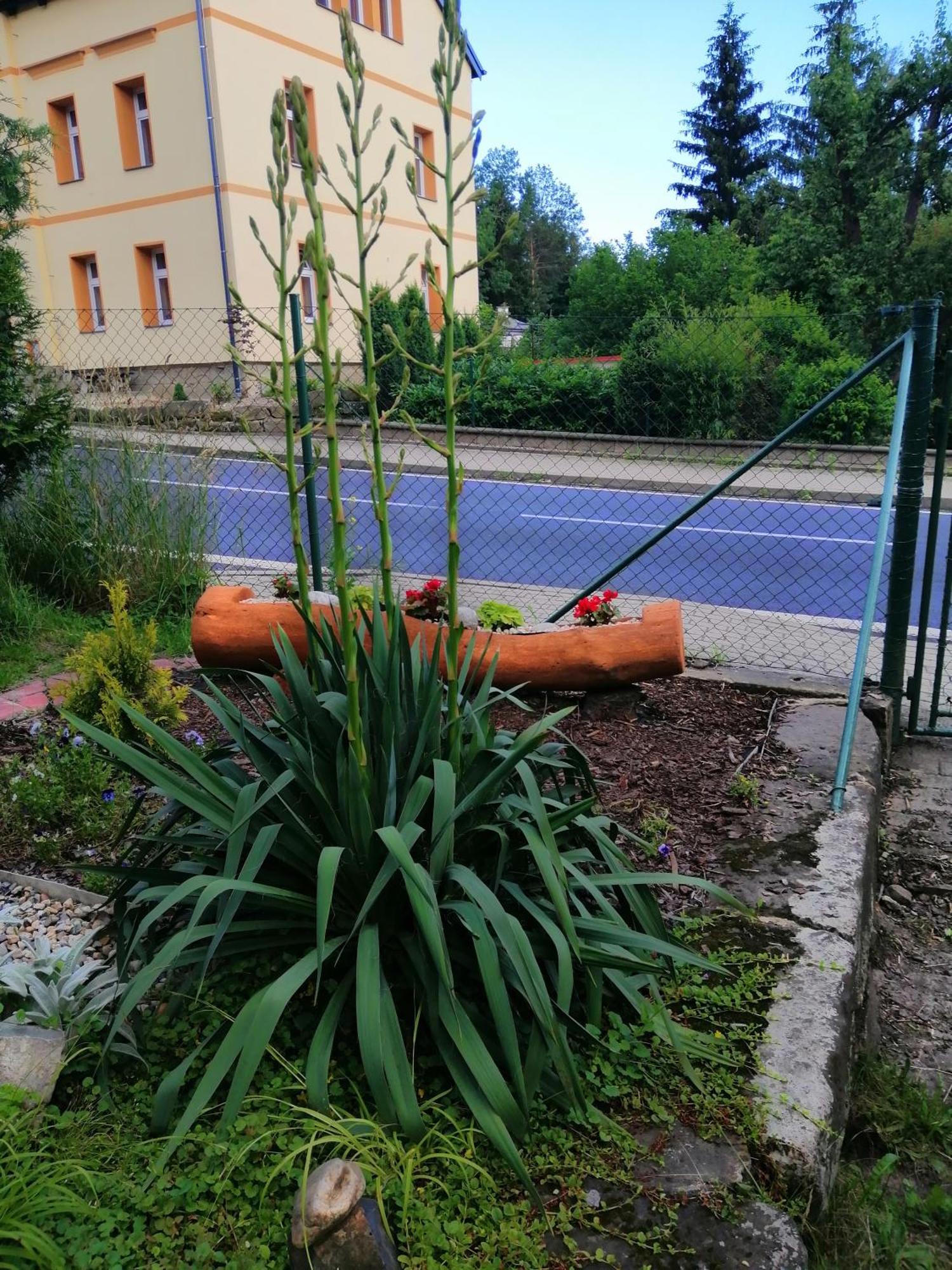 Penzion Jura Chřibská Esterno foto
